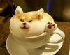 20161114_145643.png