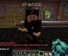 Shenziii Beweisfoto.PNG