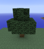 Baum1.png