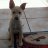 xlucy2012x